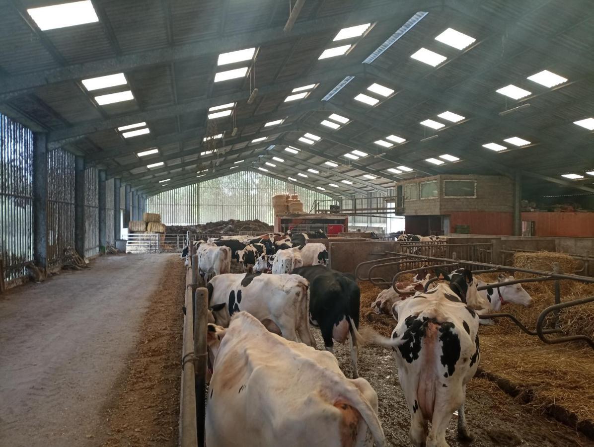 Gite A La Ferme Chez Magali Escaudoeuvres Exteriér fotografie