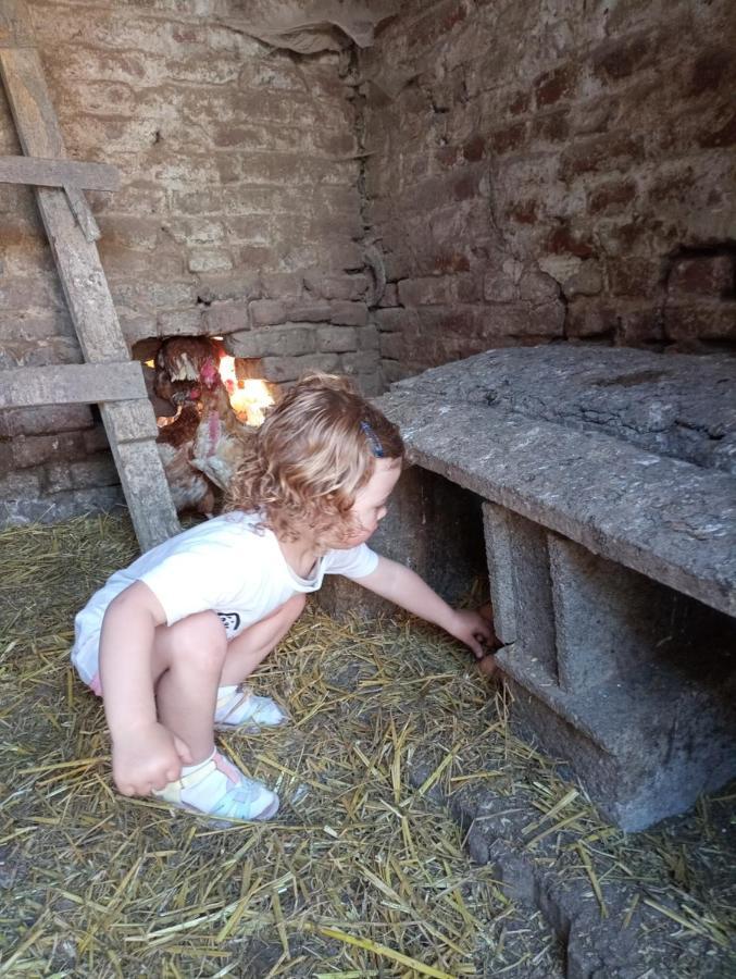Gite A La Ferme Chez Magali Escaudoeuvres Exteriér fotografie