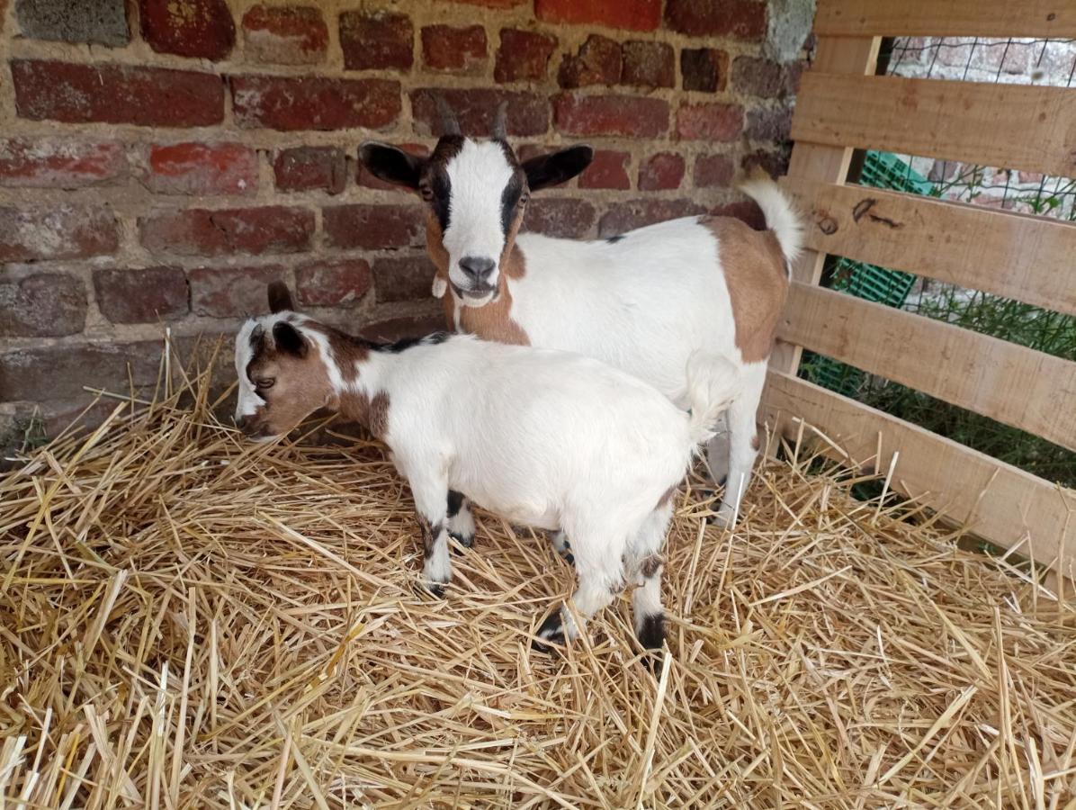 Gite A La Ferme Chez Magali Escaudoeuvres Exteriér fotografie