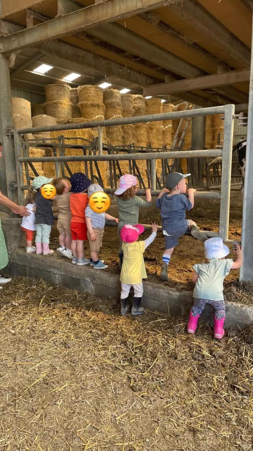 Gite A La Ferme Chez Magali Escaudoeuvres Exteriér fotografie